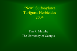 'New' Sulfonylurea Turfgrass Herbicides 2004