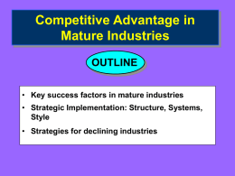 Competitive Advantage in Mature Industries