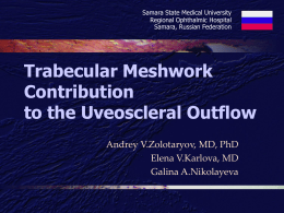 Trabecular Meshwork Contribution to the Uveoscleral Outflow