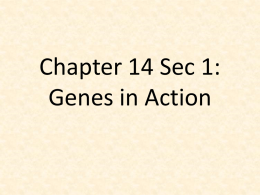 Chapter 14: Genes in Action
