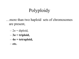 Polyploidy - Home | Western Washington University
