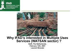 Why IFAD’s interested in Multiples Uses Services