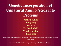 Genetic Incorporation of Unnatural Amino Acids into Proteins