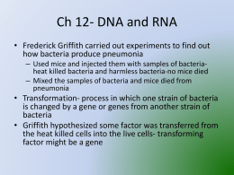 Ch 12- DNA and RNA