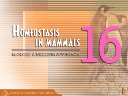 HOMEOSTASIS_IN_MAMMALS__AR