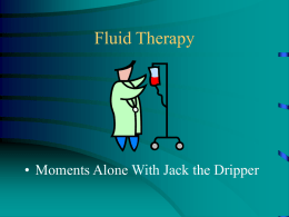 FLUID THERAPY