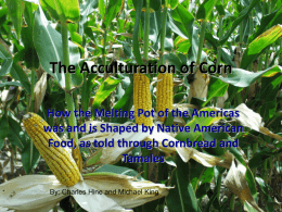 The Acculturation of Corn - University of California, Irvine