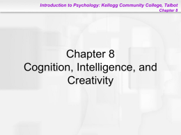 Chapter 8: Cognition, Intelligence and Creativity