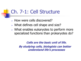 Ch. 4 CELL STRUCTURE AND FUNCTION