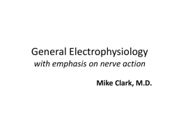 Electrophysiology - William M. Clark, M.D