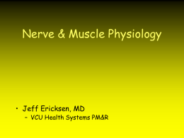 Physiologic basis of EMG/NCS or what constitutes a waveform?