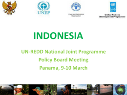 Insert Country - United Nations REDD Programme