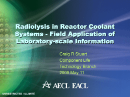 Radiolysis in Reactor Coolant Systems