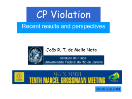 CP Violation - Federal University of Rio de Janeiro