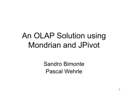 An OLAP Solution using Mondrian and JPivot
