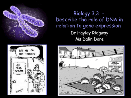 Biology 3.3 - Describe the role of DNA in relation to gene