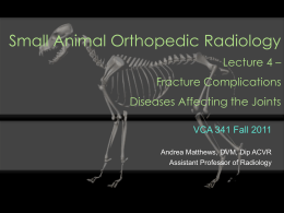 Bone Response to Disease VM855 Orthopedics Lecture 1