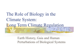The Role of Biology in the Climate System: Long Term