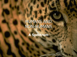 Animal Spectrum - Animal Liberation Front