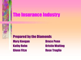 The Insurance Industry
