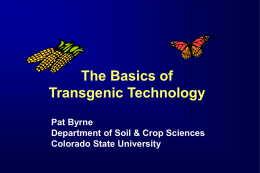 Producing Transgenic Plants