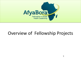 Overview of Fellowship Projects