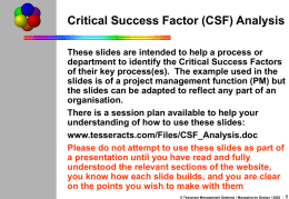 Critical Success Factor (CSF) Analysis