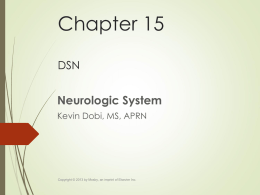 Neurologic System - Denver School of Nursing