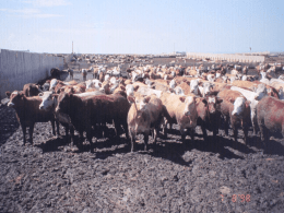 Colorado Phosphorus Index Risk Assessment