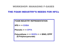 WORKSHOP: MANAGING F-GASES THE FOAM INDUSTRY’S …