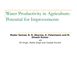 Water Productivity: Potential for Improvements