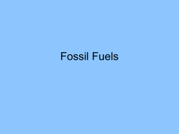 Fossil Fuel Management
