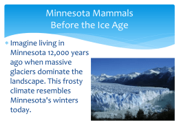 Minnesota Mammals Past to Present