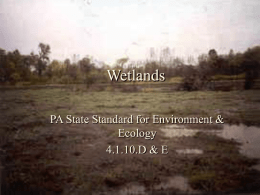 Wetlands - Woodland Hills School District