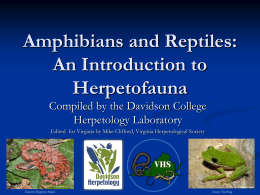 Amphibians and Reptiles: An Introduction to Herpetofauna