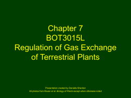Chapter 3 BOT3015L Biology of Flowering Plants