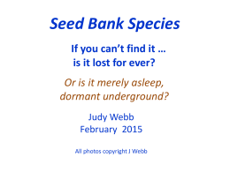 Seed Bank plants