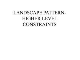 Landscape pattern - higher level constraints