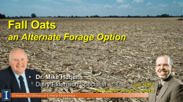 Emergency Forage Options - University of Illinois Extension