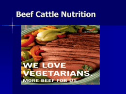 Beef Cattle Nutrition - Tarleton State University