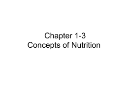 Chapter 1 The animal and its food