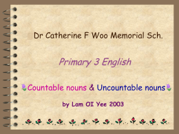 Primary 3 English * Countable and Uncountable Nouns*