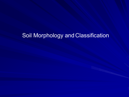 Soil Taxonomy - University of Florida