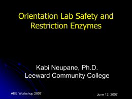 Restriction Enzyme Review