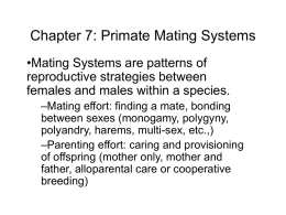 Chapter 7: Primate Mating Systems