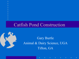 Catfish Pond Construction - University of Georgia College