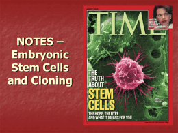 Embryonic Stem Cells & Cloning