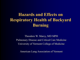 Hazards and Effects on Respiratory Health of Backyard Burning
