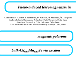 Magnetic polarons