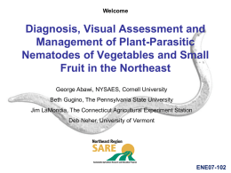 Diagnosis, Visual Assessment and Management of Plant
